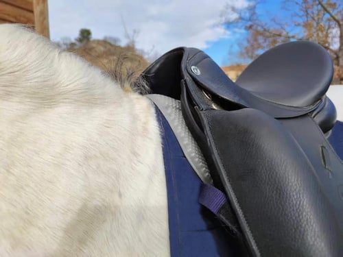 وسادة جل للسرج