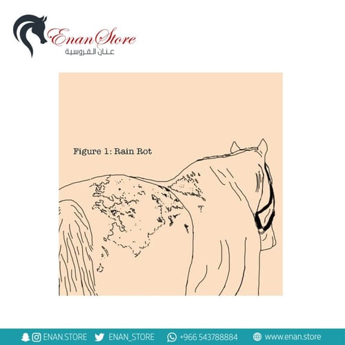 مرهم Fungasol للحساسية