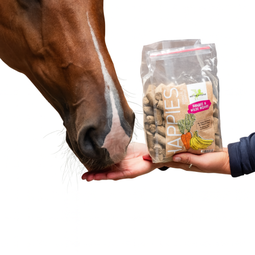 مكافئة للخيل