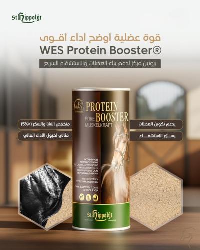 بروتين بوستر لبناء العضلات