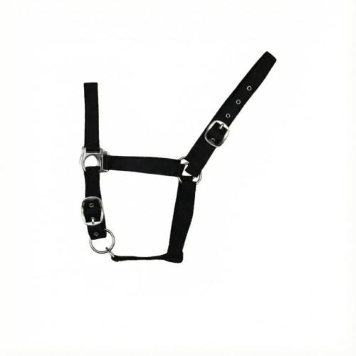 رشمة نايلون (أسود-كبير جدا)