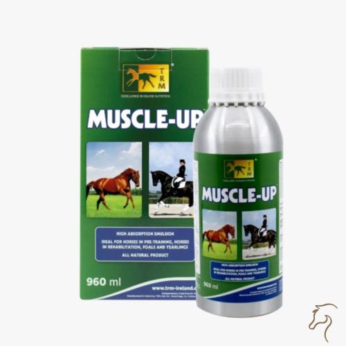 مصل أب (Muscle Up) لبناء عضلات الخيل