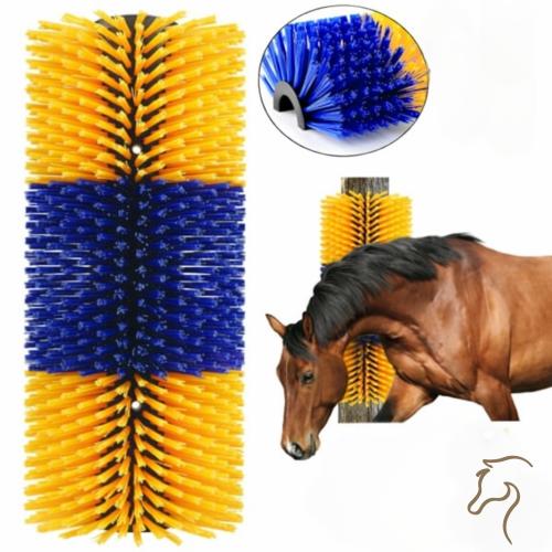 فرشاة الحك الجدارية