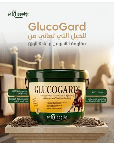 جلوكوجارد لدعم الأيض وتنظيم سكر الخيل