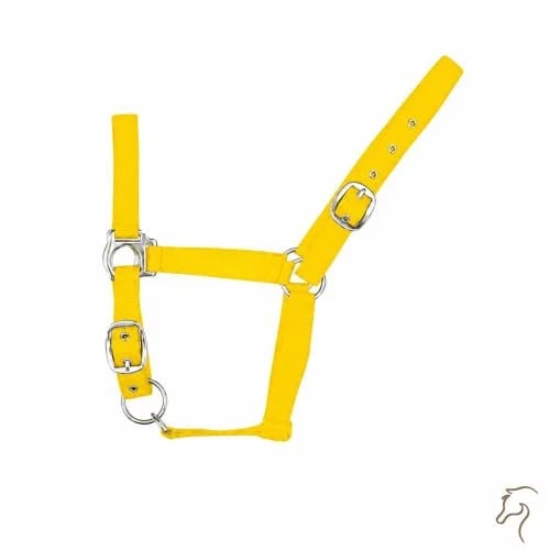 رشمة نايلون (اصفر-كبير جدا)