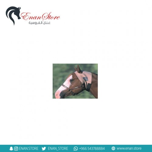 عراقة مذبح بالإذنين (كبير)