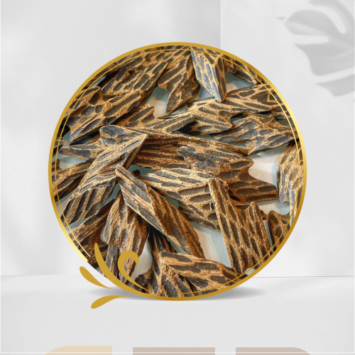 كمبودي تايقر محسن