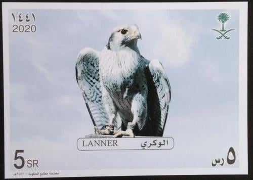 بطاقة بريدية الصقور- 2020م