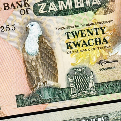 زامبيا فئة 20 كواشا أنسر