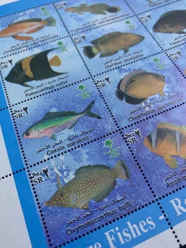 طوابع اسماك نادرة - البحر الأحمر 2003م إصدار كامل