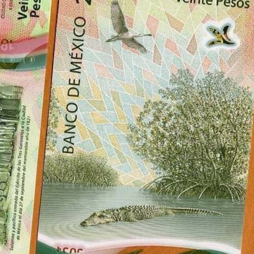 المكسيك فئة 20 بيزو (بوليمر) أنسر