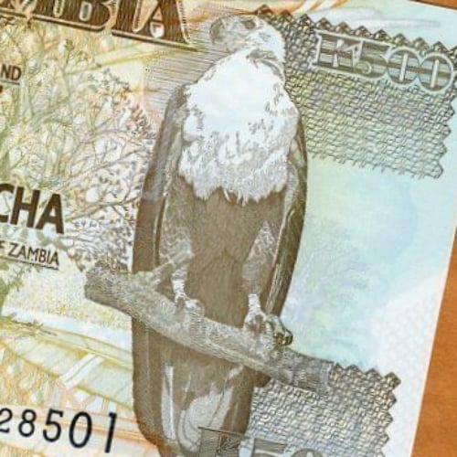 زامبيا فئة 500 كواشا أنسر (بوليمر) اصدار قديم