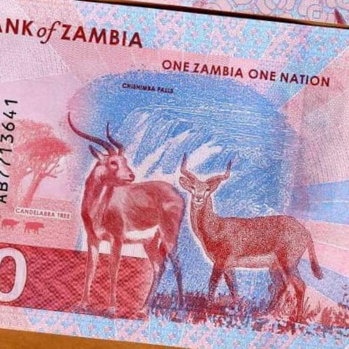 زامبيا فئة 20 كواشا أنسر