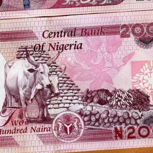 نيجيريا فئة 200 نيرة أنسر