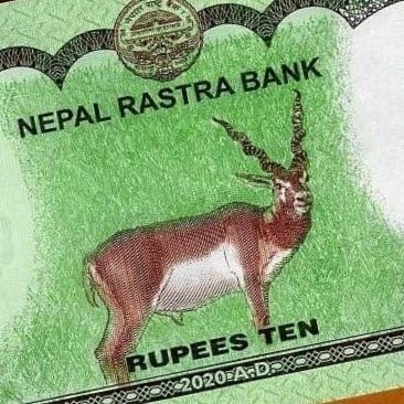 نيبال فئة 10 روبية أنسر