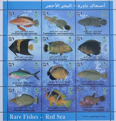 طوابع اسماك نادرة - البحر الأحمر 2003م إصدار كامل