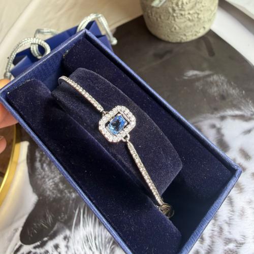 اسواره سوار فسكي ماستر