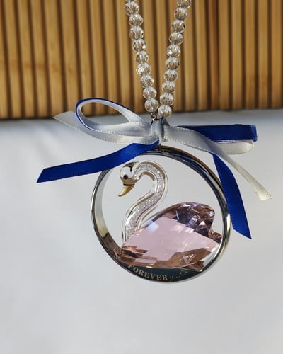 تعليقه سياره سوار فسكي