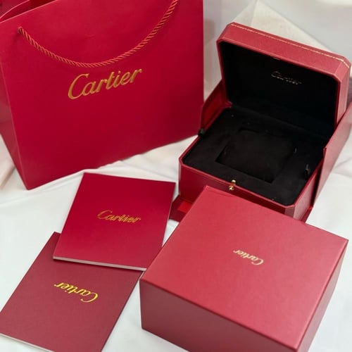 ساعه كارتير جلد سانتوس