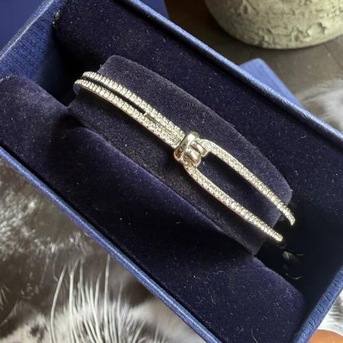 اسواره سوار فسكي ماستر