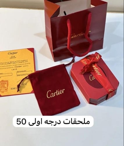 طقم كارتير سلسال وحلق تيقر