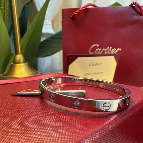 سوارة واقفة فضيه مع مفك بمقاس وسط