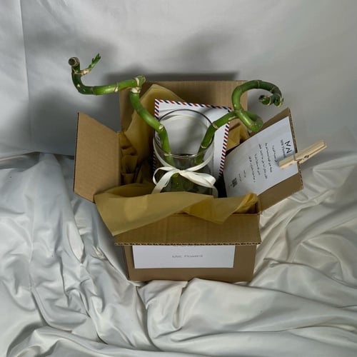 سمكة الفايتر مع ساقين البامبو