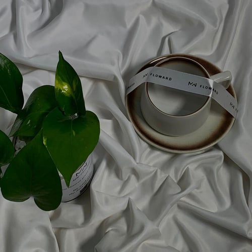 كوب فاخر و نبات البوتس