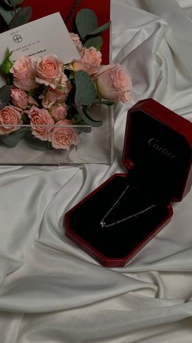 إكسسوار كارتير بتنسيق ورد