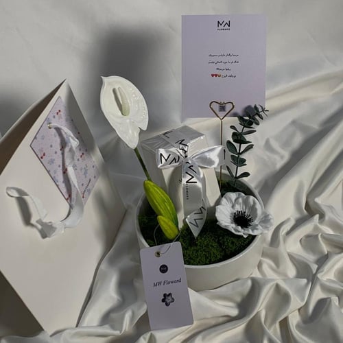 عطر ماتش بتنسيق انيق