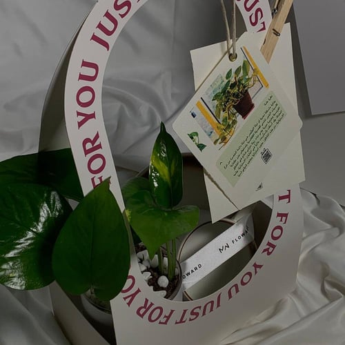 كوب فاخر و نبات البوتس