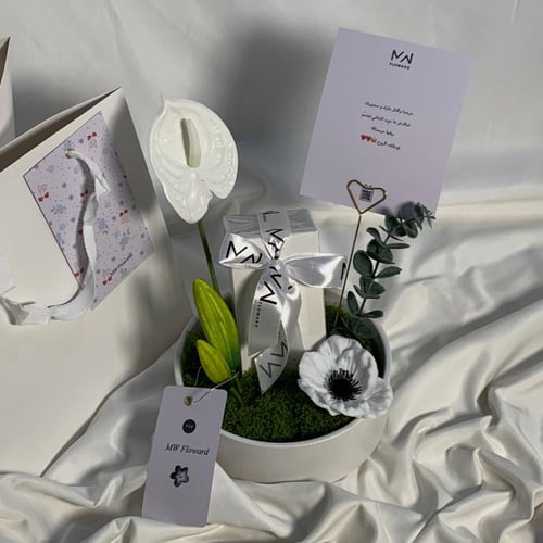 عطر ماتش بتنسيق انيق