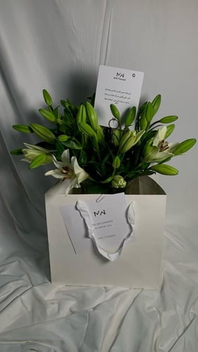 فازة الليليوم الراقي