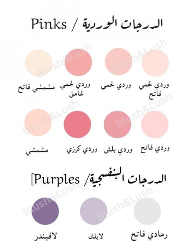 بكج استقبال عساف (2)