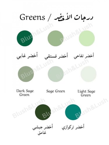 بكج استقبال عساف (2)