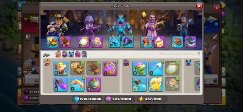 قرية تاون هول 14