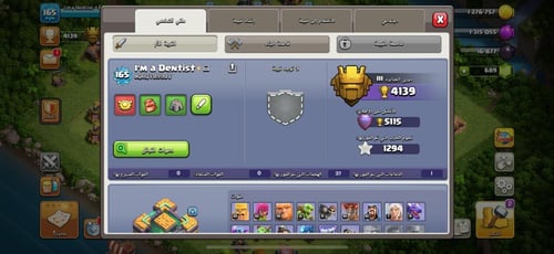 قرية تاون هول 14