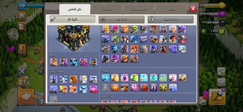 قرية تاون هول 17