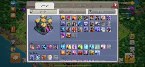 قرية تاون هول 14