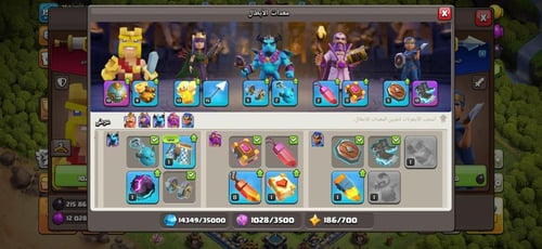 قرية تاون هول 13