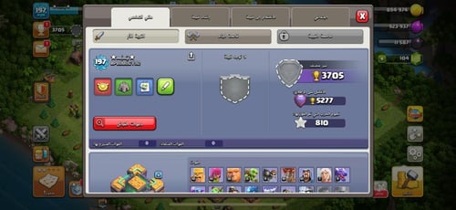 قرية تاون هول 14