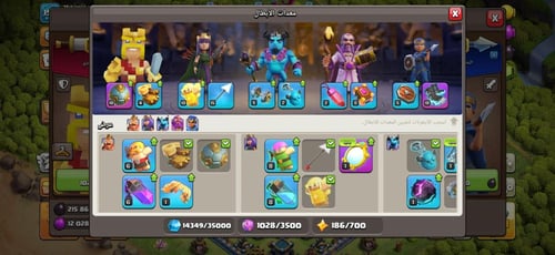 قرية تاون هول 13