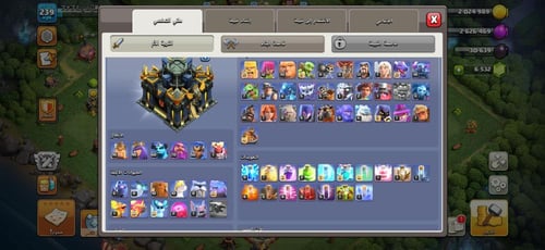 قرية تاون هول 17