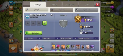 قرية تاون هول 11