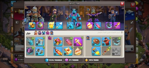 قرية تاون هول 14