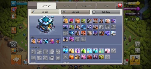 قرية تاون هول 13