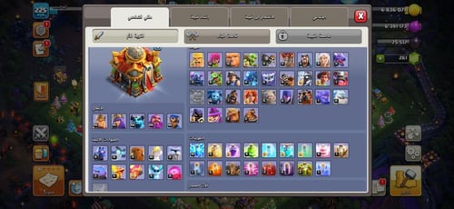 قرية تاون هول 16