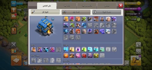 قرية تاون هول 12