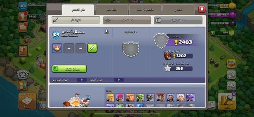 قرية تاون هول 11