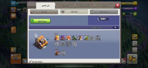 قرية تاون هول 11